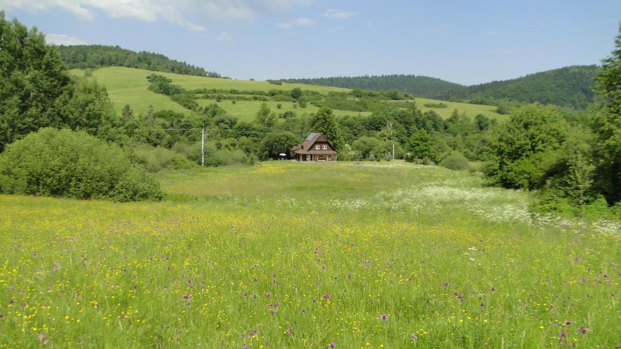 Villa Gutkowa Koliba à Jasliska Extérieur photo